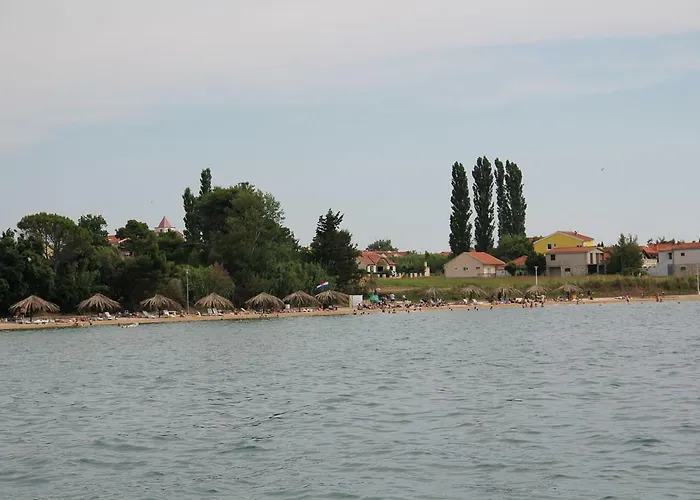 Mulo * Vrsi