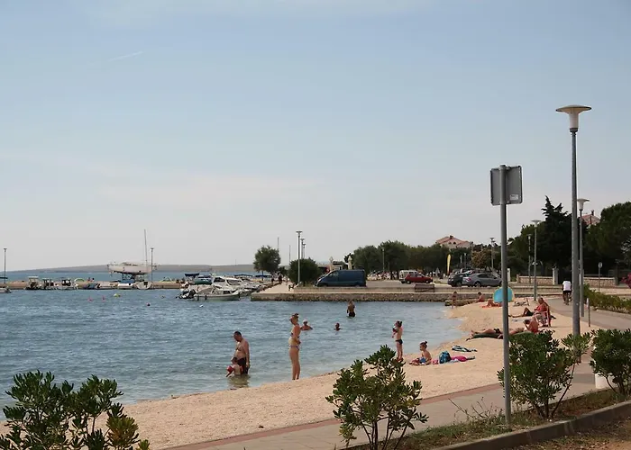 Mulo Vrsi