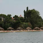 Mulo * Vrsi