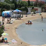 Mulo * Vrsi