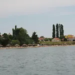 Mulo * Vrsi