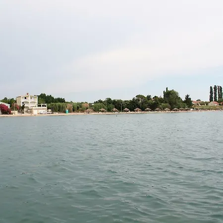 Mulo * فرسي